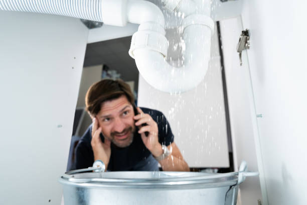 Best Sprinkler Systems  in New Holstein, WI