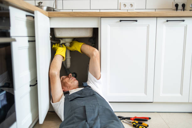 Best Clogged Drain Plumber  in New Holstein, WI