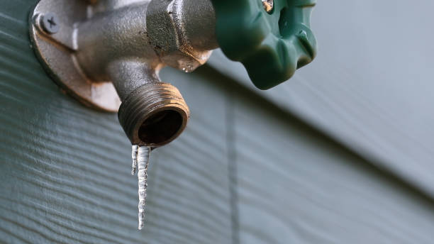 Best Septic Systems  in New Holstein, WI